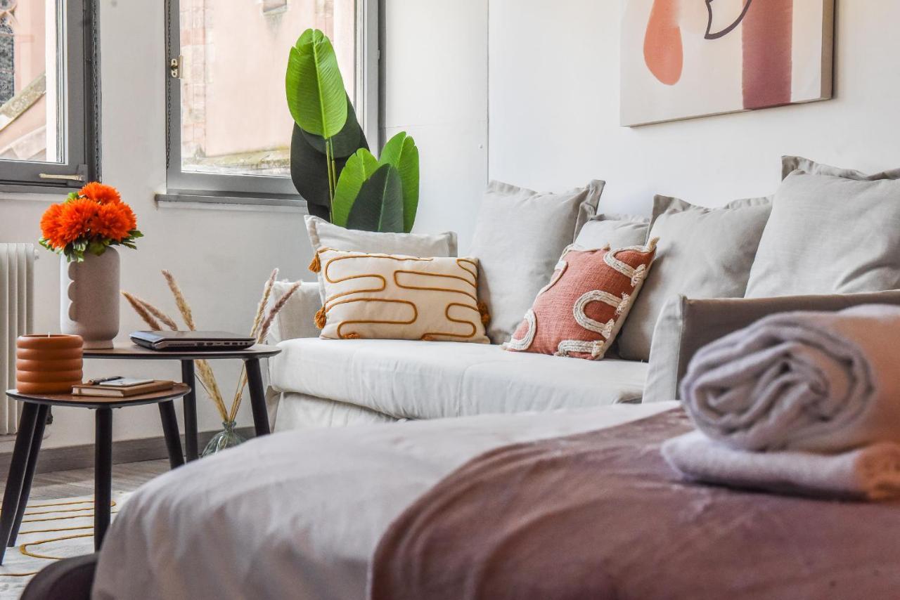 Le Saint Pierre Appartement Strasbourg